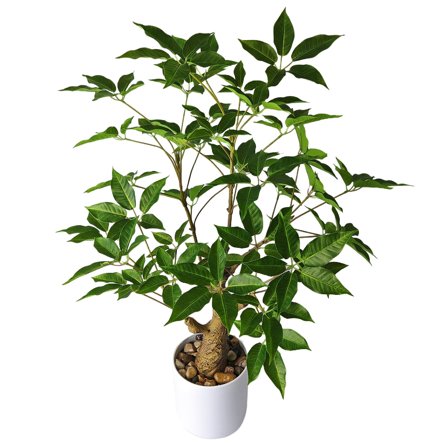 Lyckoträd - 60cm - CC Krukan