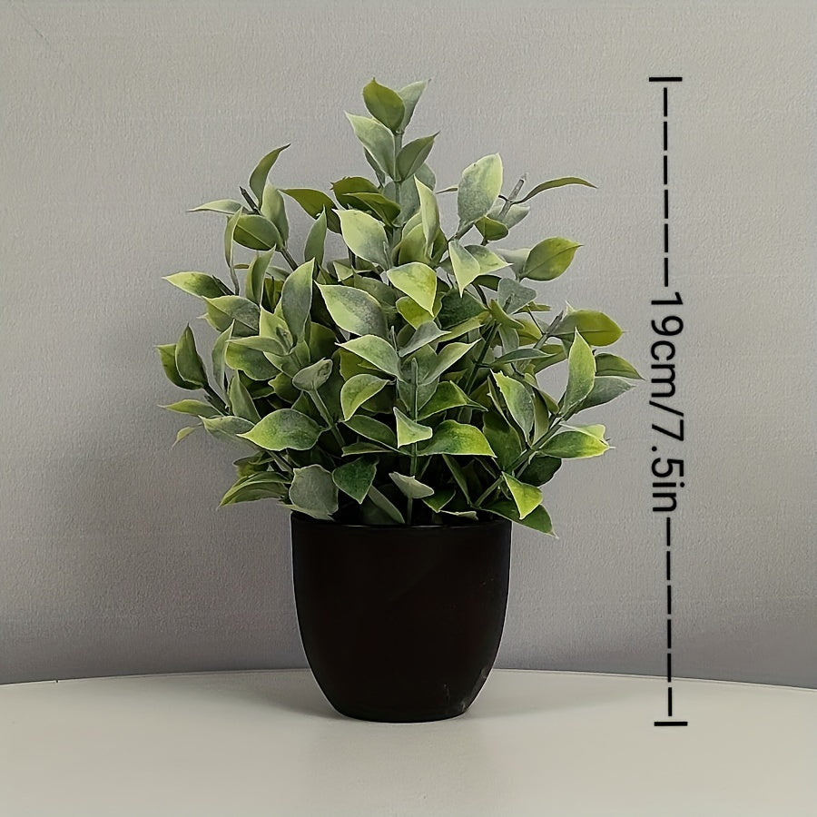 6st Blomkrukor + Blommor