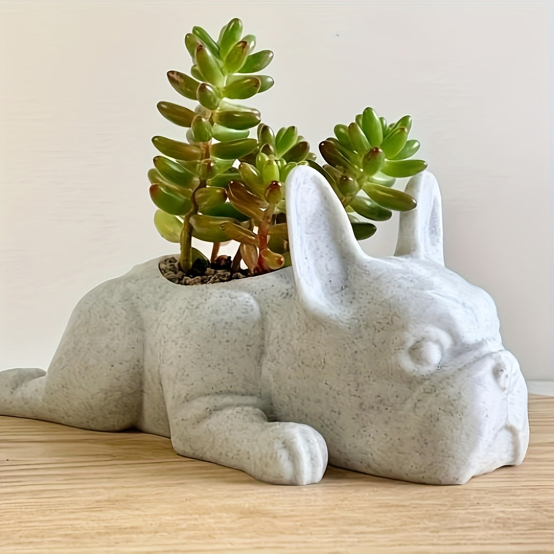 Fransk Bulldogg Blomkruka - 4,5cm - CC Krukan