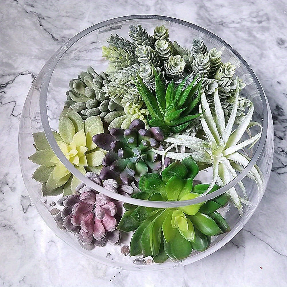 1pk-15st Succulent Växt – 6-15cm Breda - CC Krukan