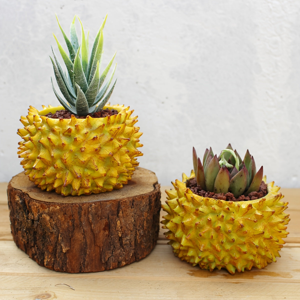 Durian Blomkruka - 7cm - CC Krukan