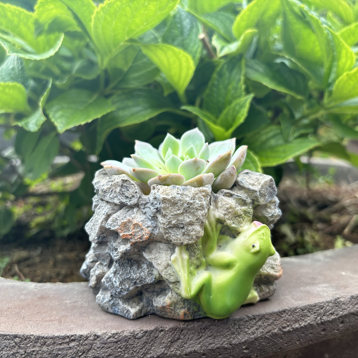 Grod Blomkruka - 7cm - CC Krukan
