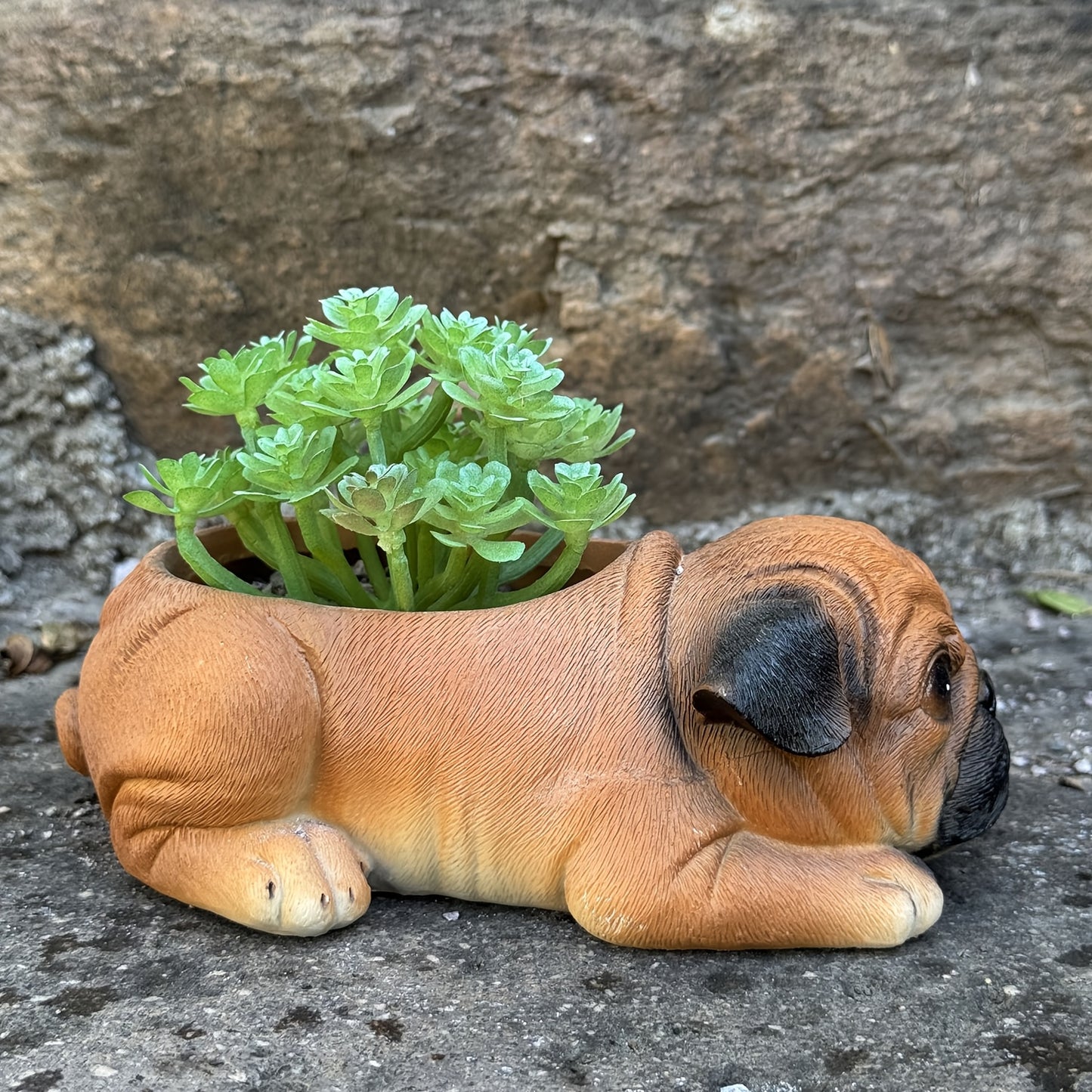 Hund Blomkruka - CC Krukan