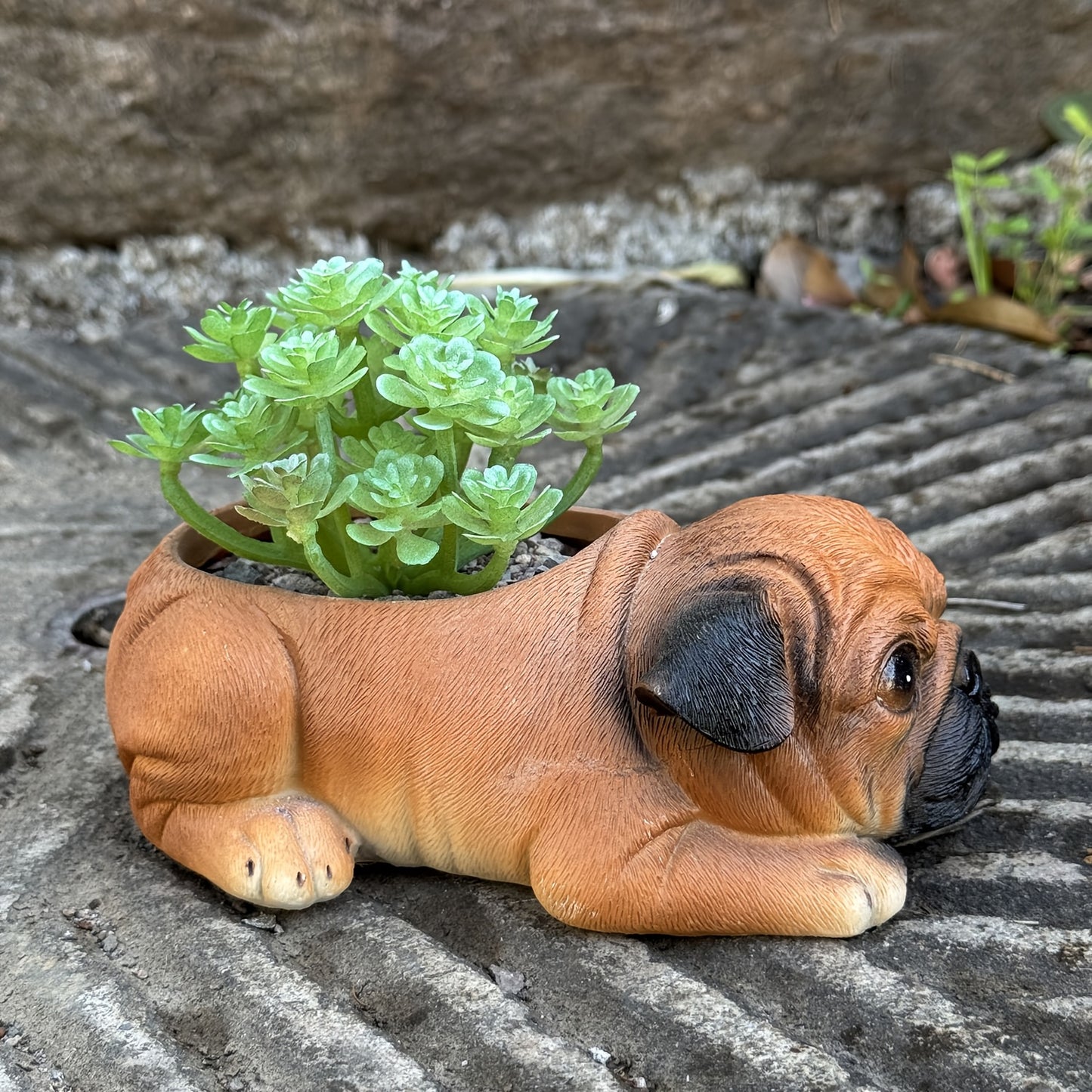 Hund Blomkruka - CC Krukan