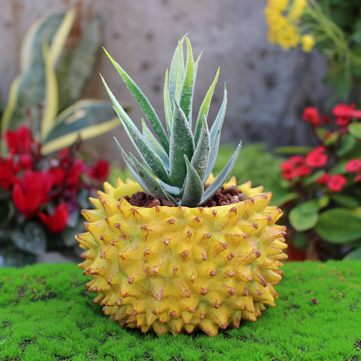 Durian Blomkruka - 7cm - CC Krukan