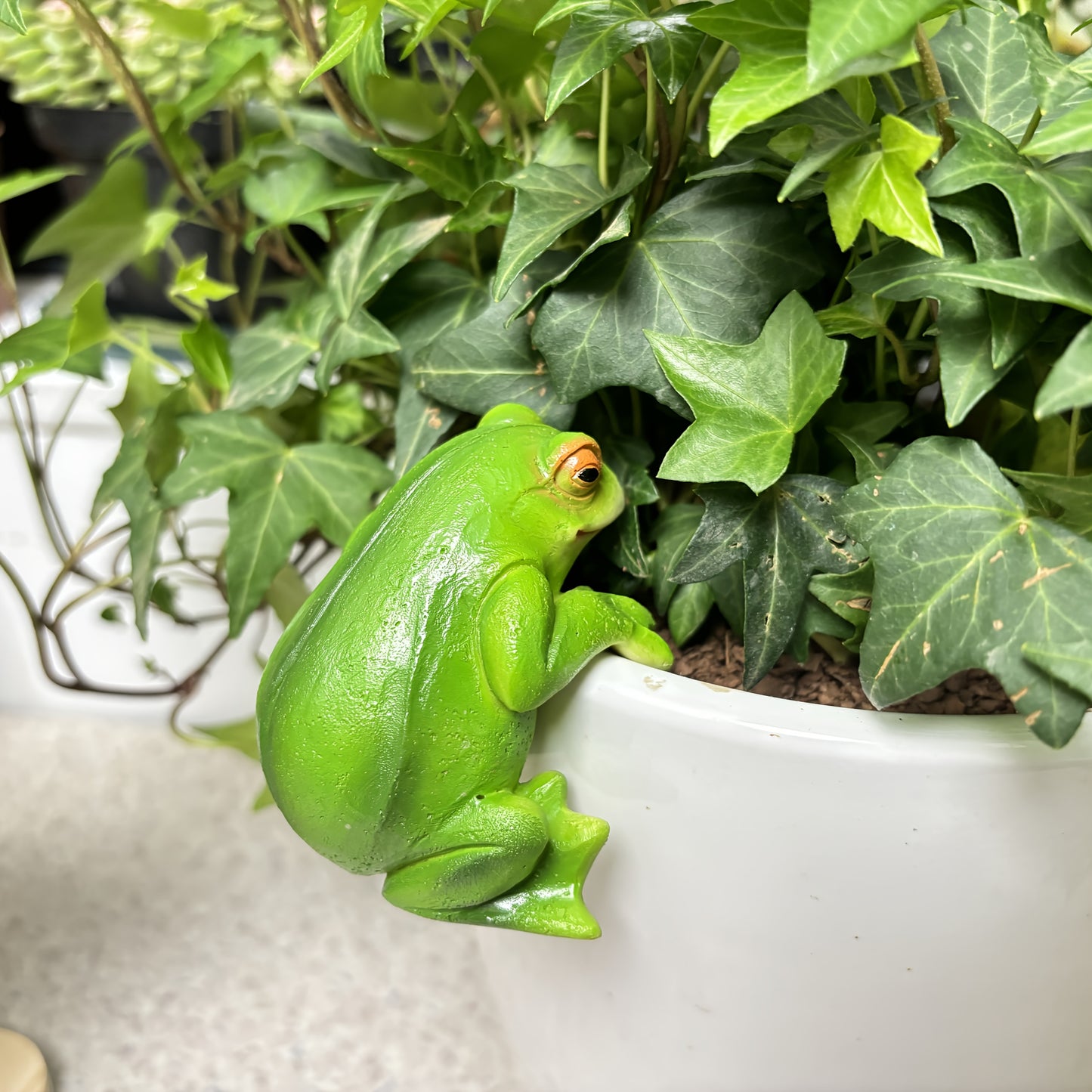 Hängande Groda - 7cm - CC Krukan