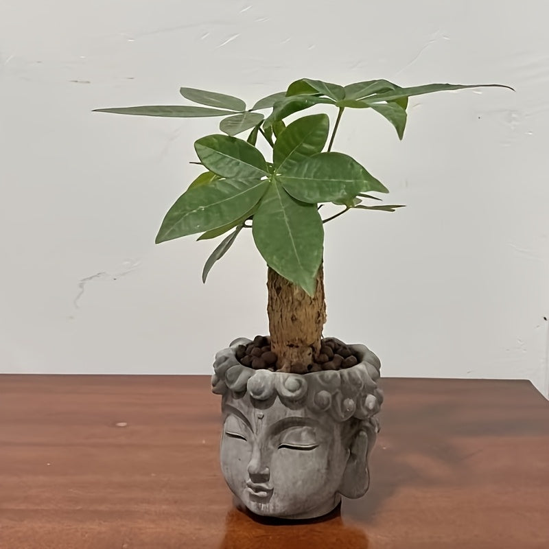 Ansikte Blomkruka - 9cm - CC Krukan