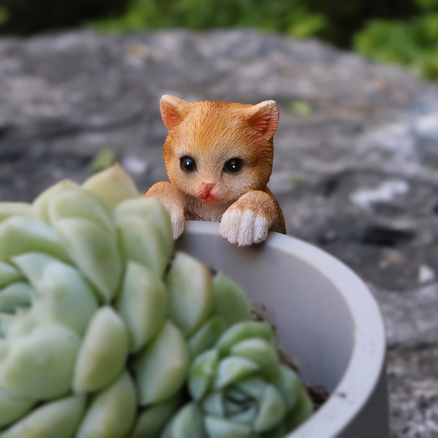1pk-3st Kattungar - 7cm - CC Krukan