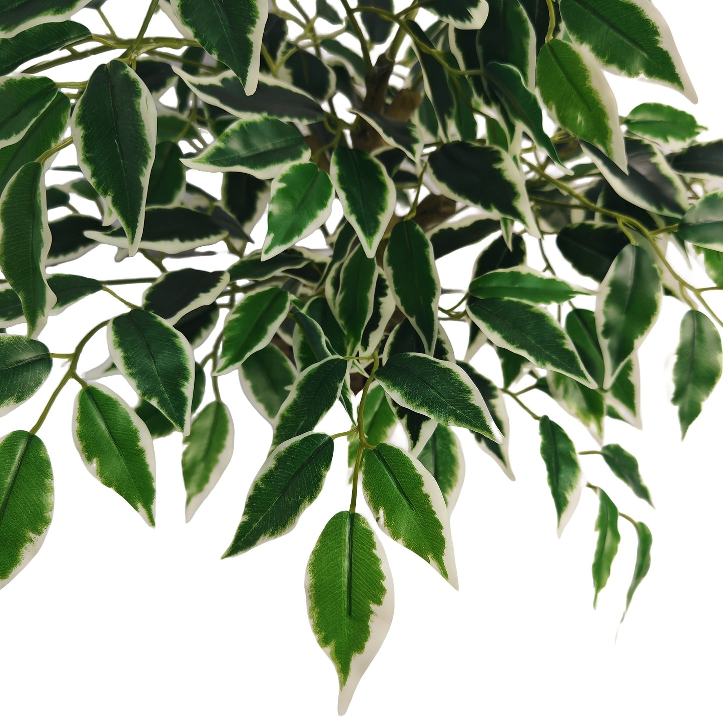 Gröna & Vita Blad Träd - 42cm - CC Krukan