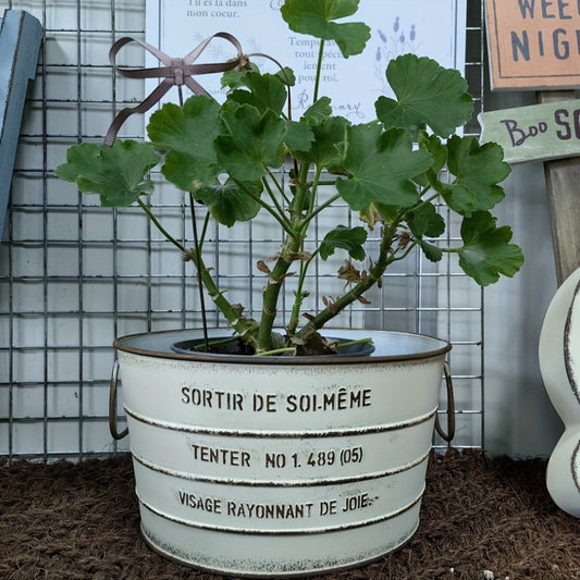 Blomkruka - 2 Olika Färger