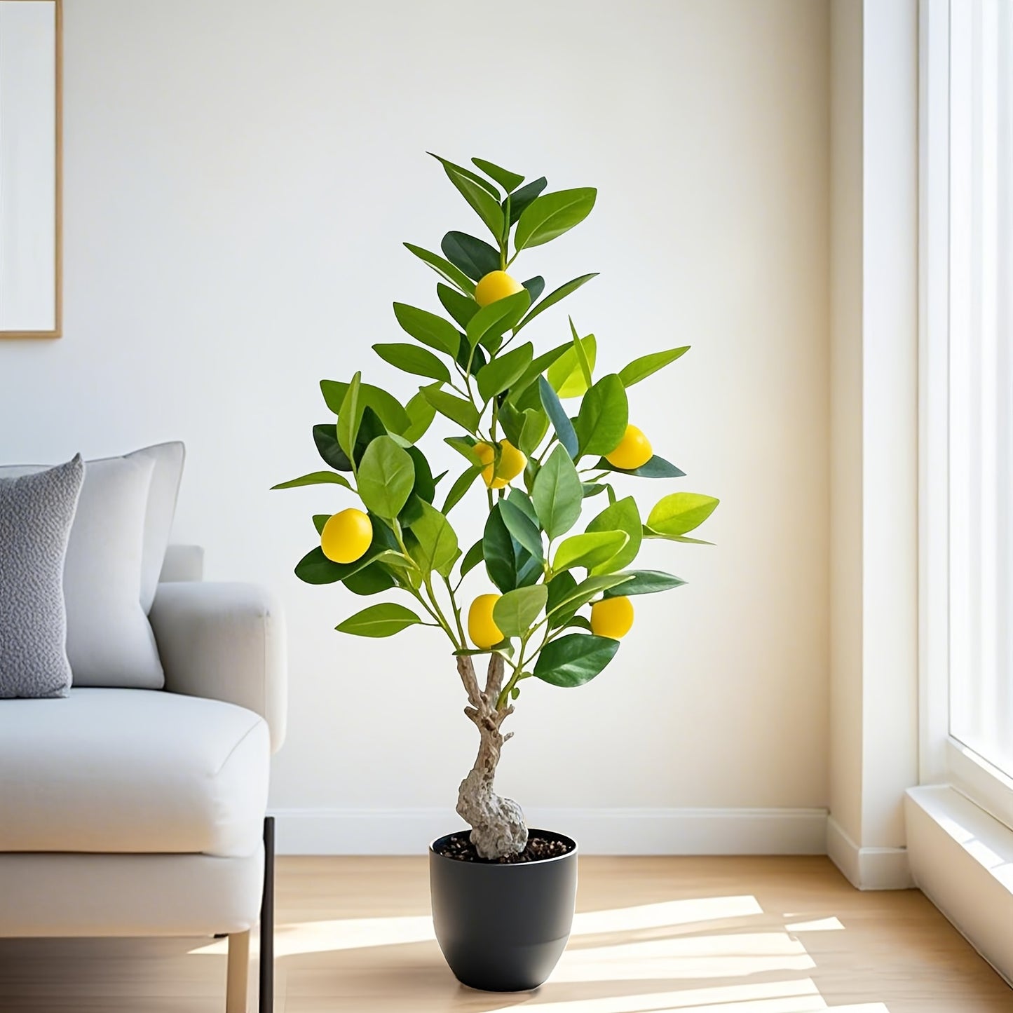 Citronträd - 60cm - CC Krukan