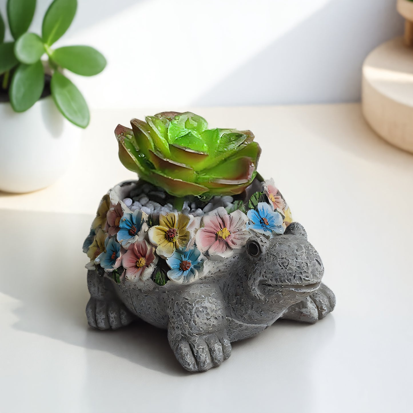 Sköldpadda & Katt Blomkrukor - 6/8cm - 2 Olika Modeller - CC Krukan