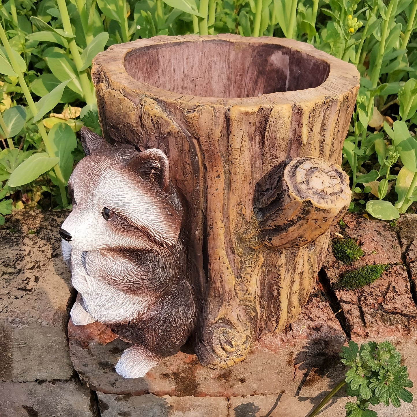 Tvättbjörn i Trädstubbe - 12,5cm - CC Krukan