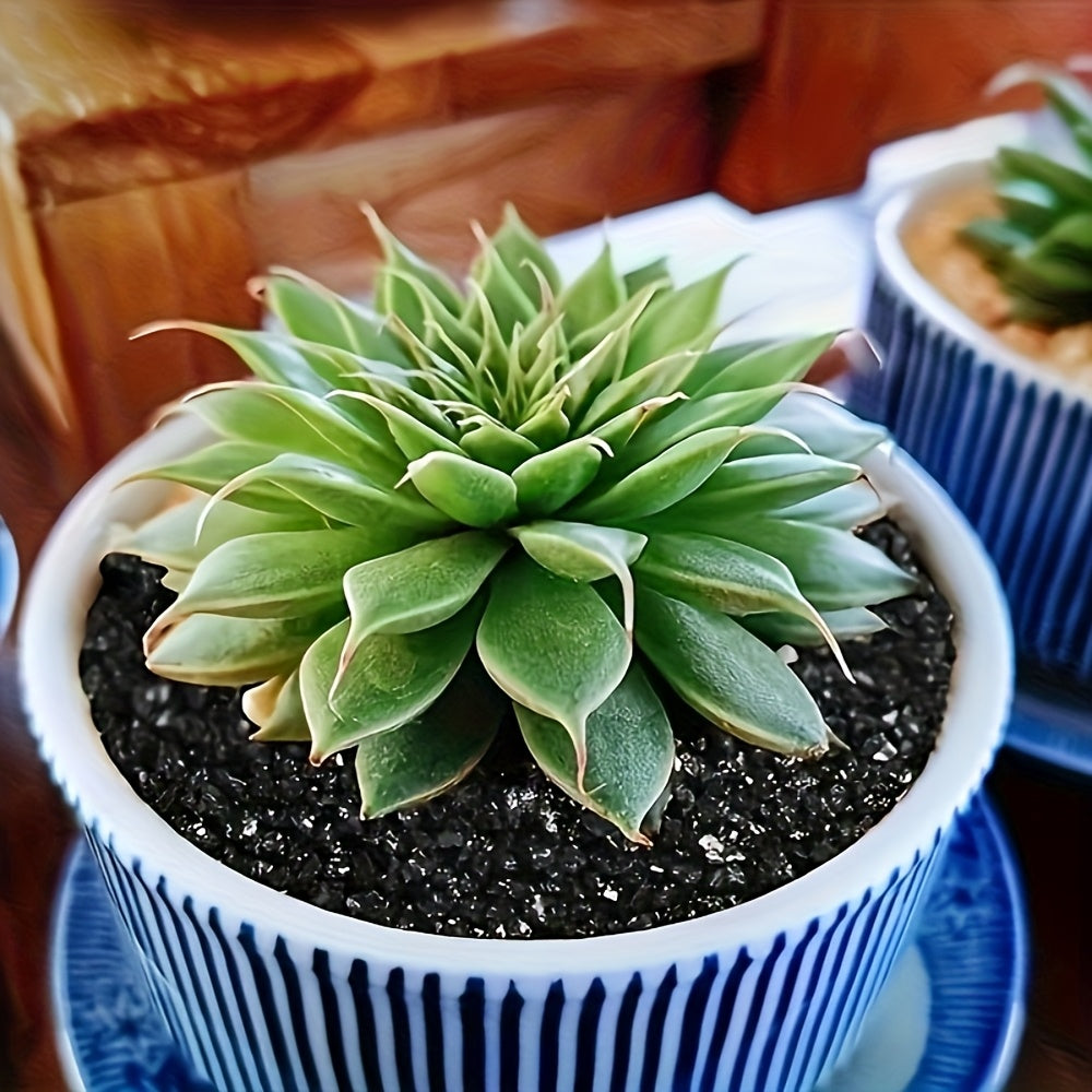 1kg Stenar - 0,2-0,4cm - CC Krukan