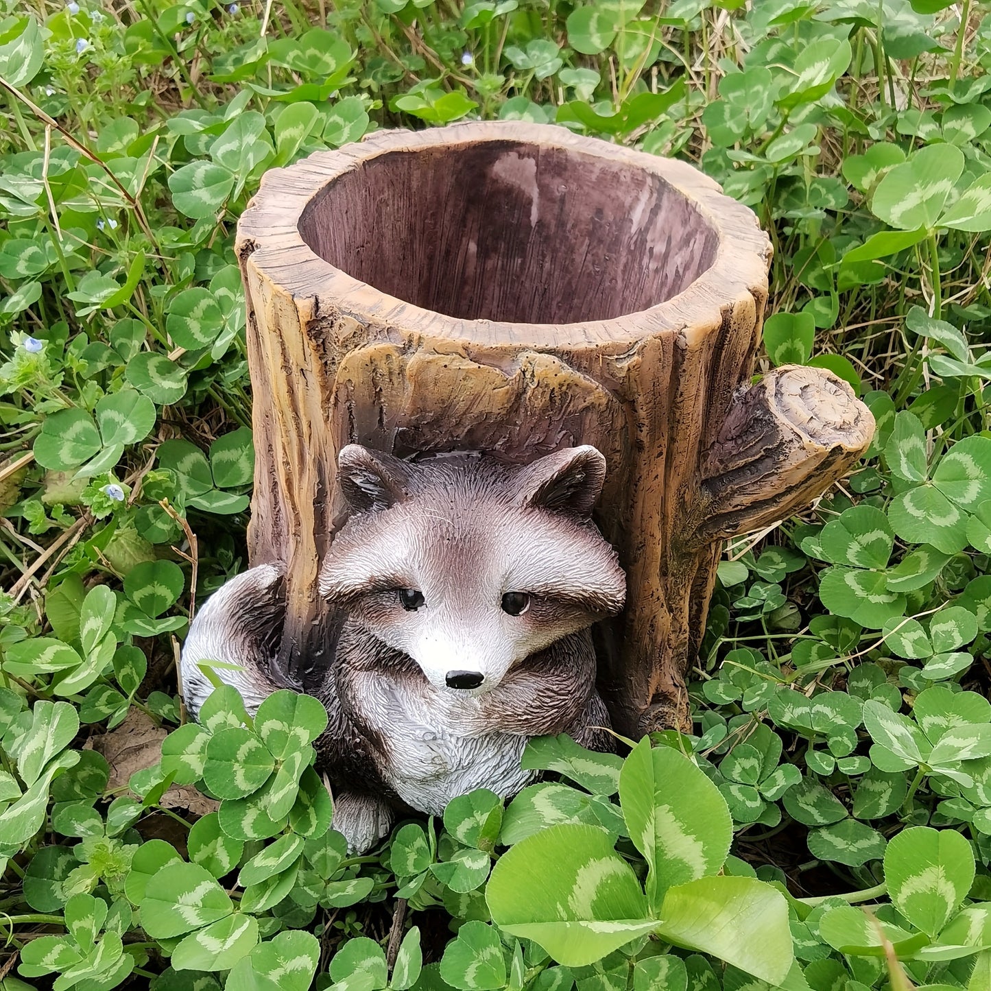 Tvättbjörn i Trädstubbe - 12,5cm - CC Krukan