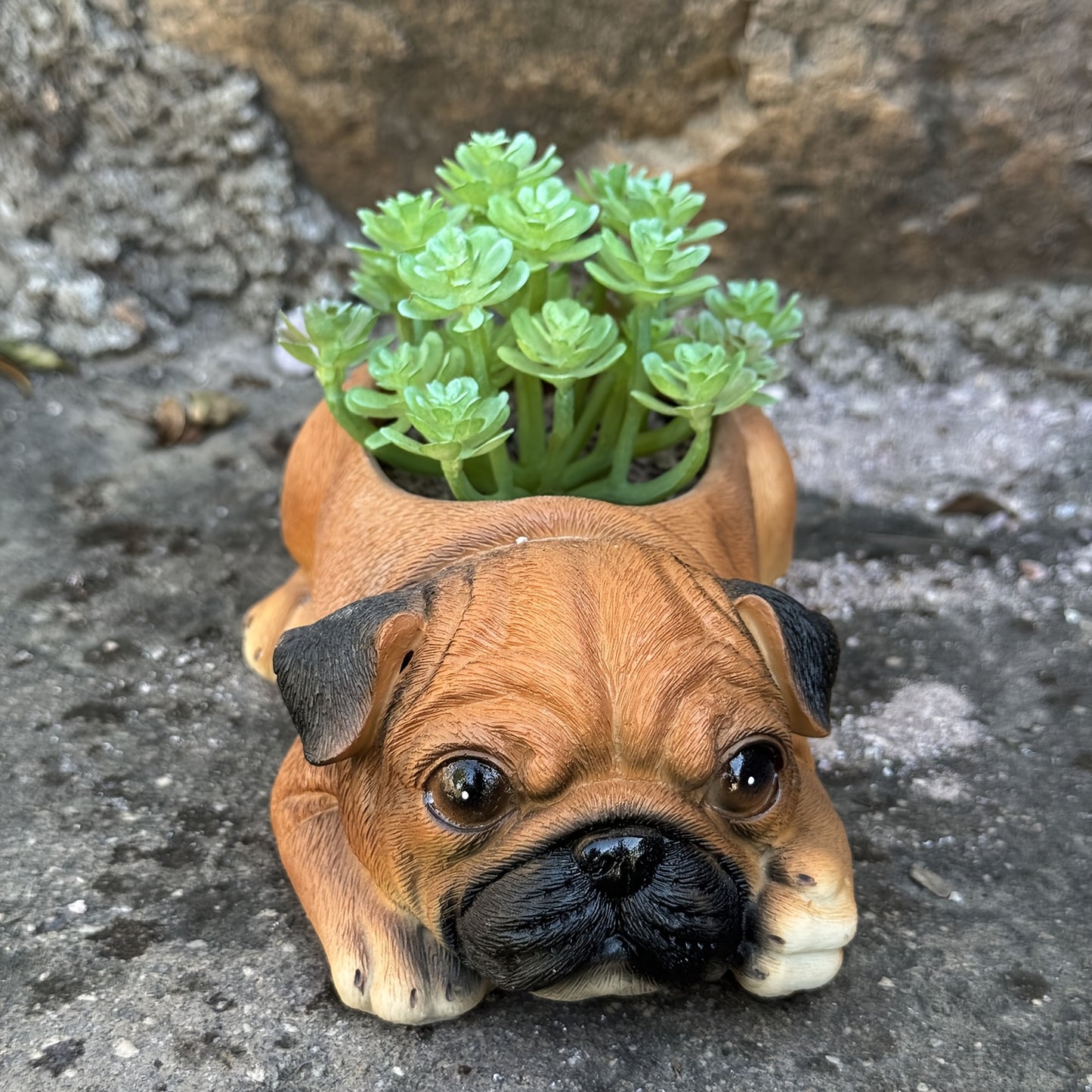 Hund Blomkruka - CC Krukan