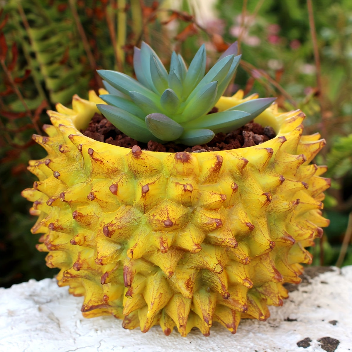 Durian Blomkruka - 7cm - CC Krukan