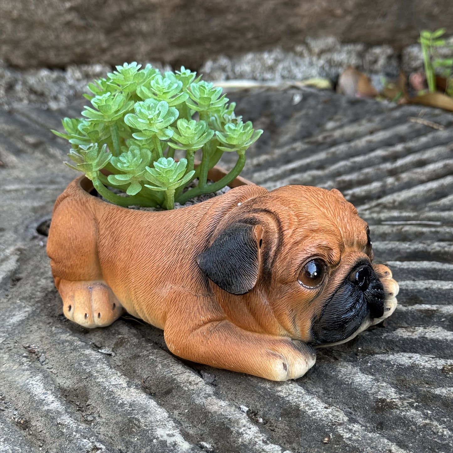 Hund Blomkruka - CC Krukan