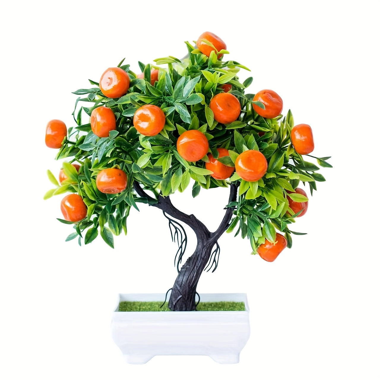 Apelsinträd - 26cm - CC Krukan