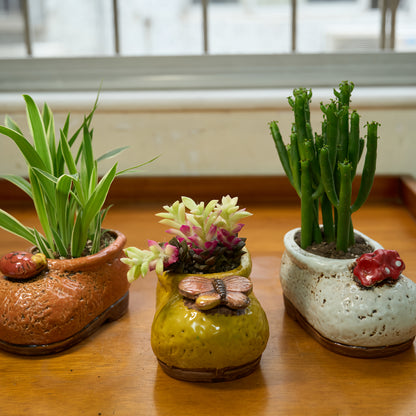 2st Skor Blomkruka - 6,5cm - CC Krukan