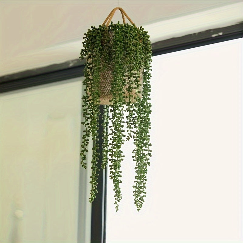 1pk-4st Sukkulentra Växt – 70cm - CC Krukan