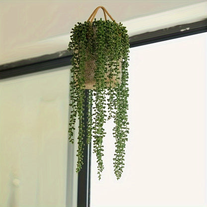 1pk-4st Sukkulentra Växt – 70cm - CC Krukan