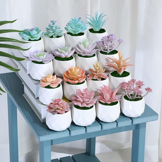 1pk-4st Suckulenter Blommor - 9cm - 5 Olika Färger - CC Krukan