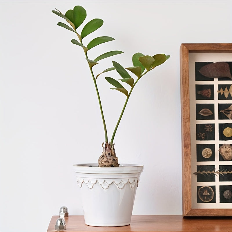 Blomkruka - 3 Olika Färger