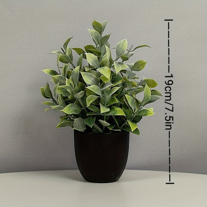 6st Blomkrukor + Blommor