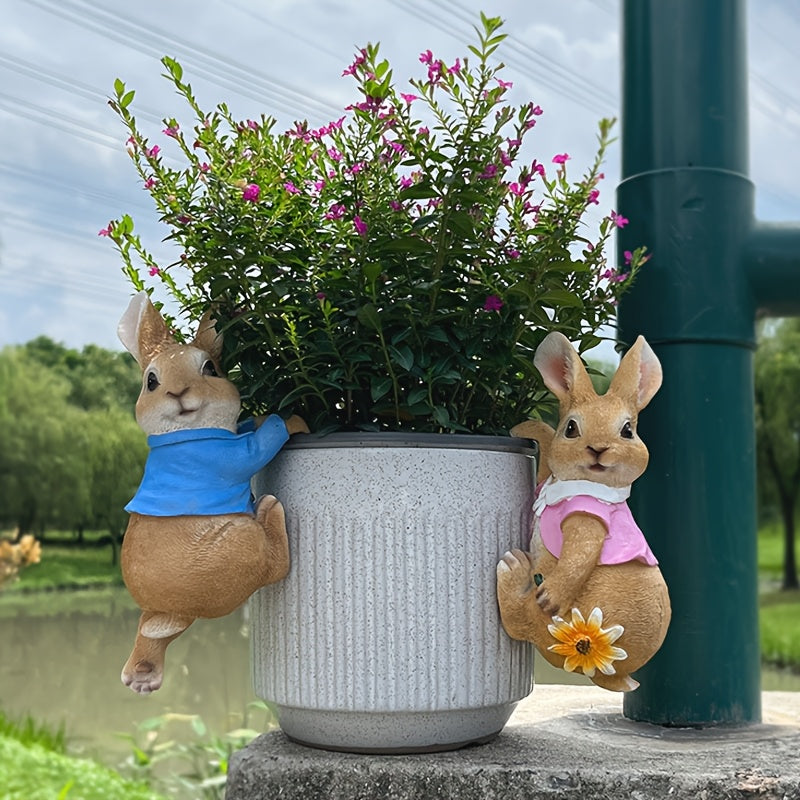 Kanin - 2 Olika Färger