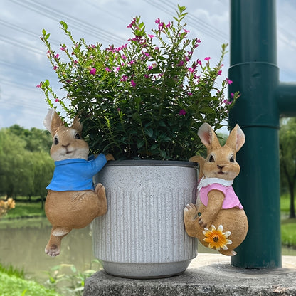 Kanin - 2 Olika Färger