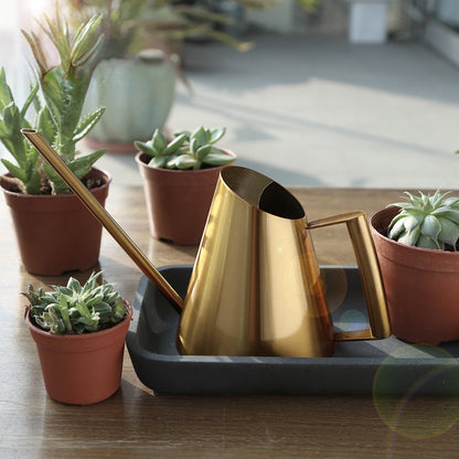 900ml Rostfri Vattenkanna - 16cm - 3 Olika Färger - CC Krukan