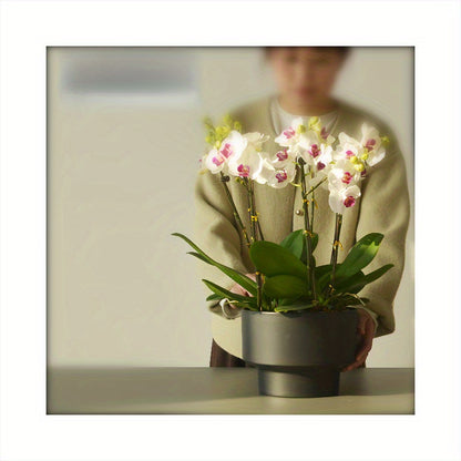 Blomkruka - 2 Olika Färger