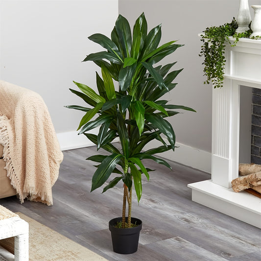 Dracena Träd - 120/150cm - 5 Olika Sorter - CC Krukan