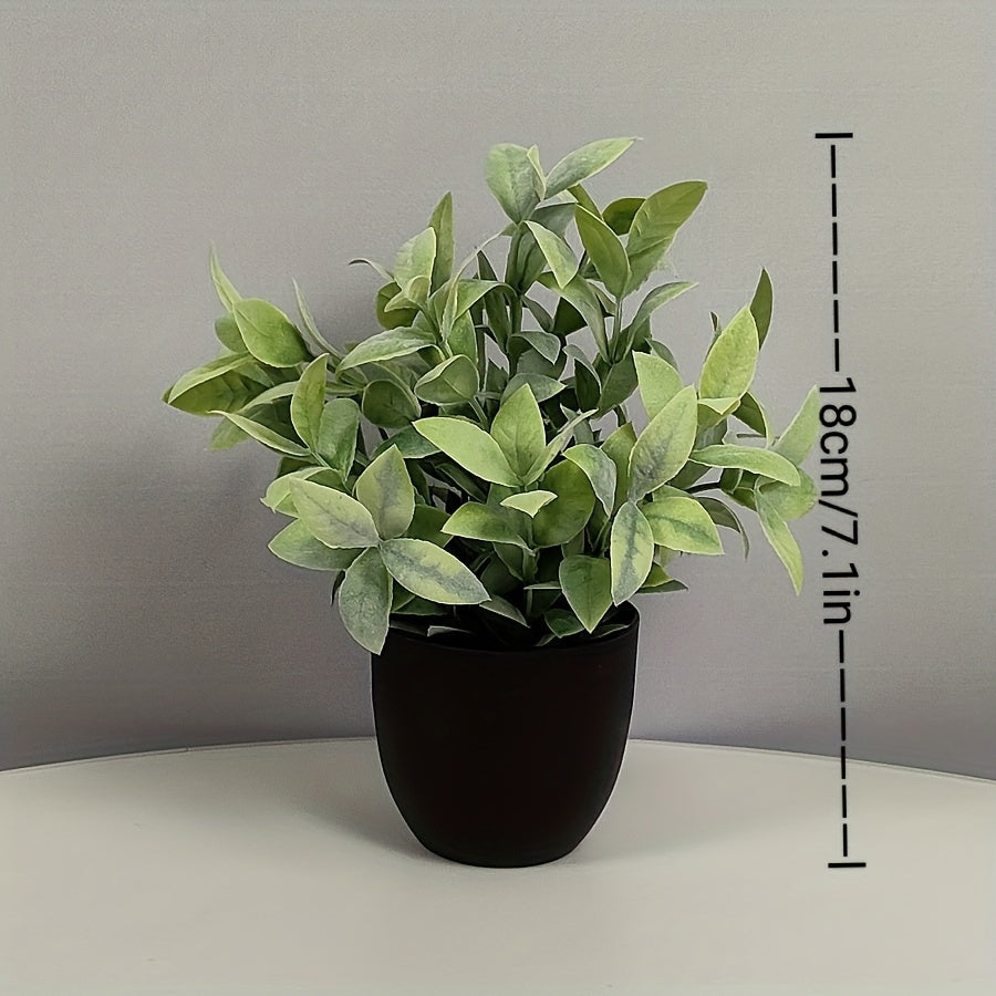 6st Blomkrukor + Blommor