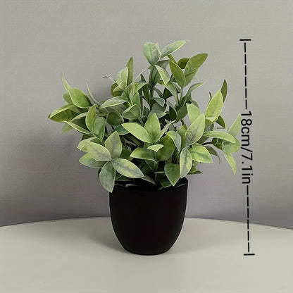 6st Blomkrukor + Blommor