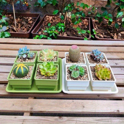 1pk-5st (4st Blomkrukor + 1 Bricka) - 8/20cm - 2 Olika Färger - CC Krukan