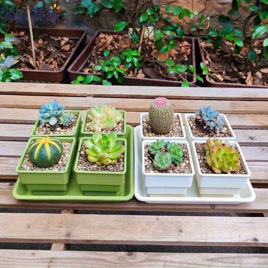 1pk-5st (4st Blomkrukor + 1 Bricka) - 8/20cm - 2 Olika Färger - CC Krukan