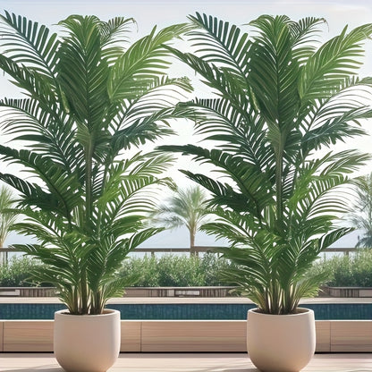 Palmväxt - 73cm - CC Krukan