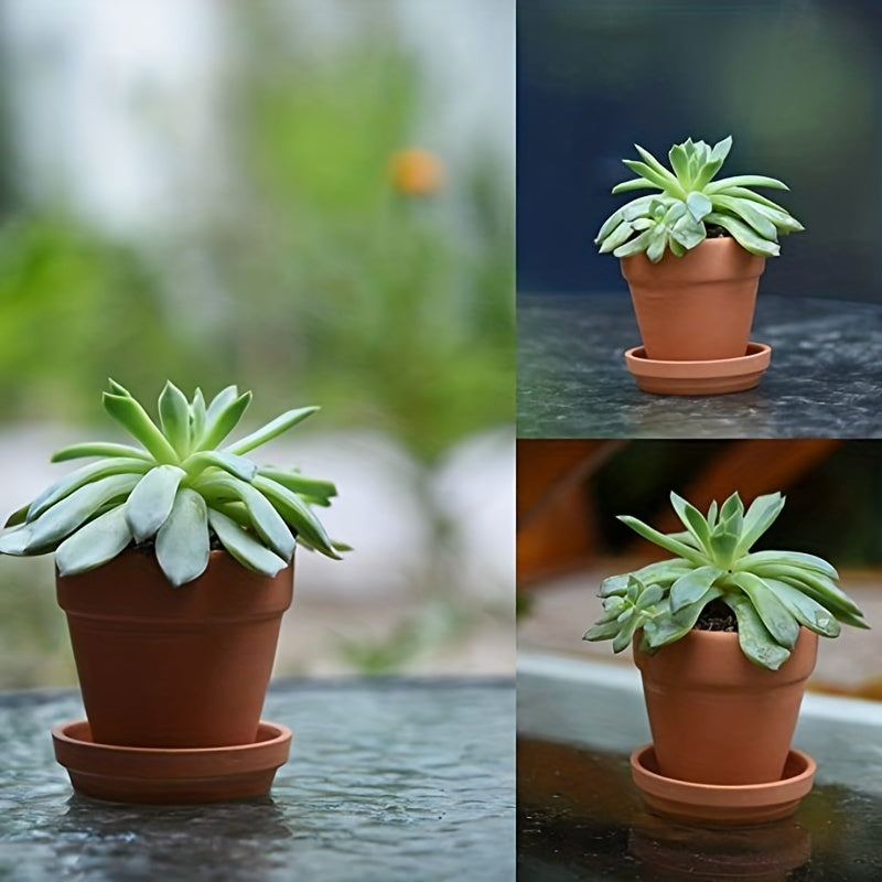 1pk-24st Brickor - 7,5cm - CC Krukan