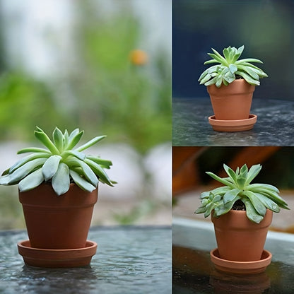 1pk-24st Brickor - 7,5cm - CC Krukan