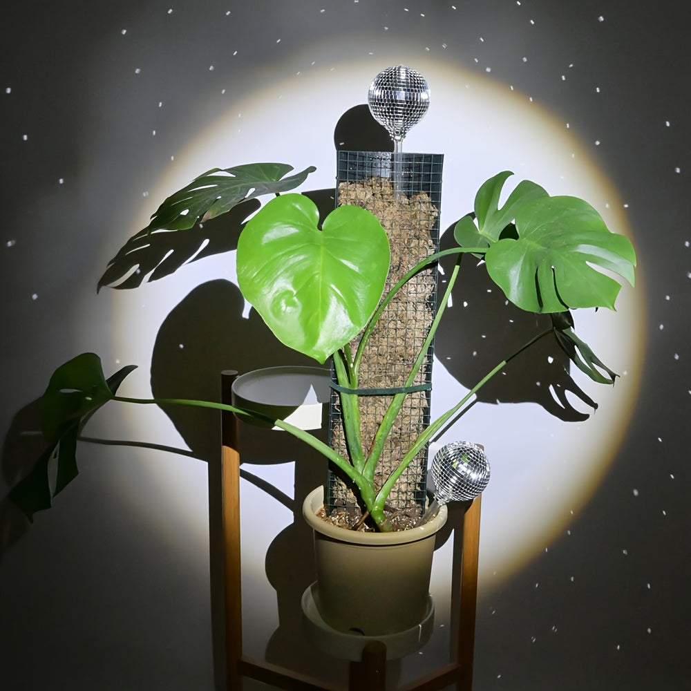 Discokula Självbevattnande - 28cm - CC Krukan