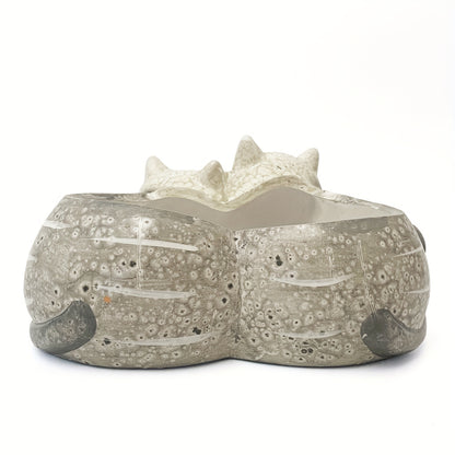 Blomkruka - 2 Olika Färger