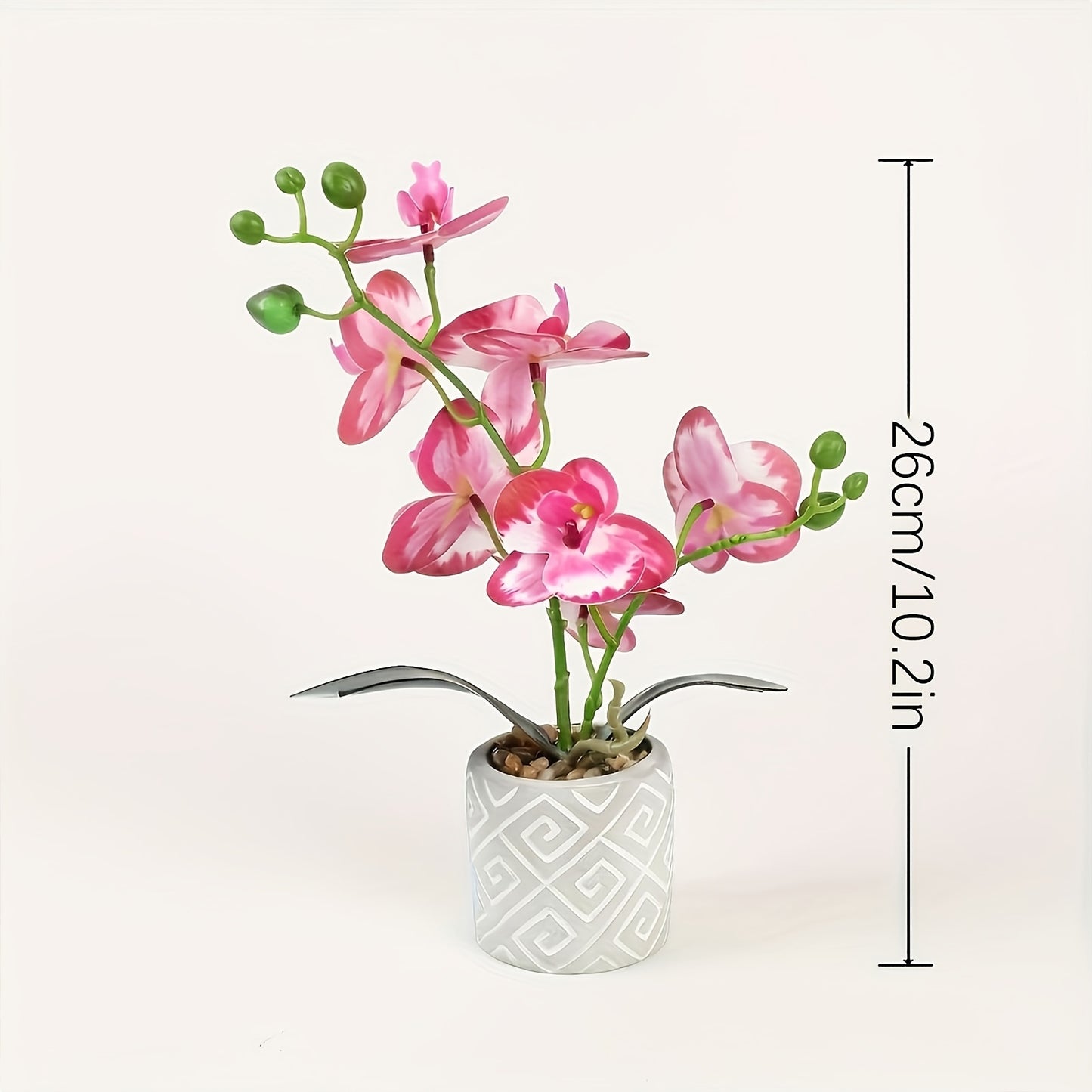 Blomma - 4 Olika Färger