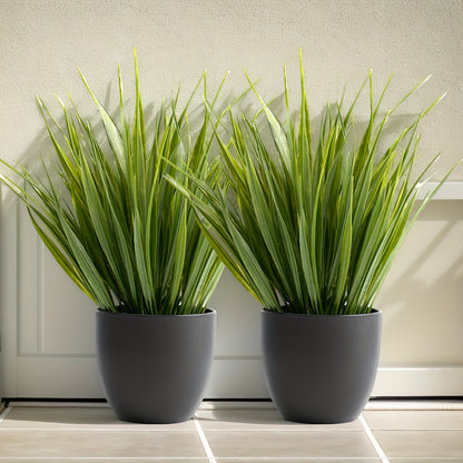 1pk-2/4/10st Salvia Gräs - 20cm - CC Krukan