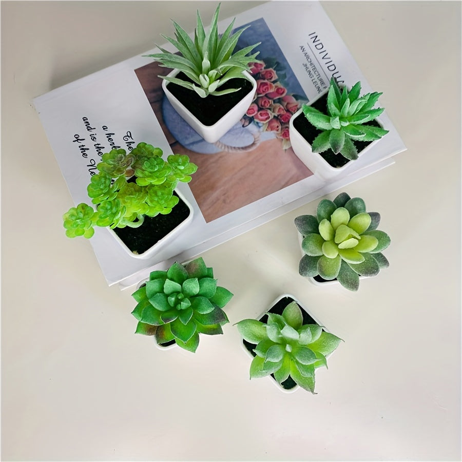 1pk-4st Suckulenter Blommor - 9cm - 5 Olika Färger - CC Krukan