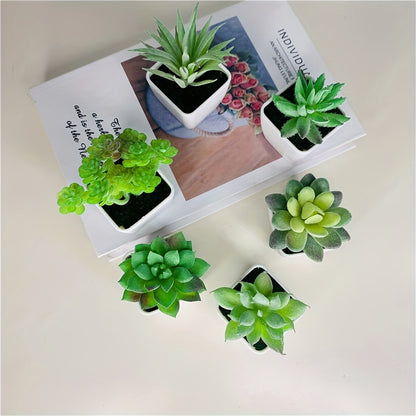 1pk-4st Suckulenter Blommor - 9cm - 5 Olika Färger - CC Krukan