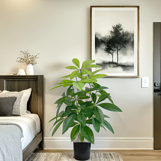 Lyckoväxt - 74cm - CC Krukan