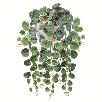 1pk-1/3/4st Ceropegia Woodii-Växt - 47cm - 2 Olika Färger - CC Krukan