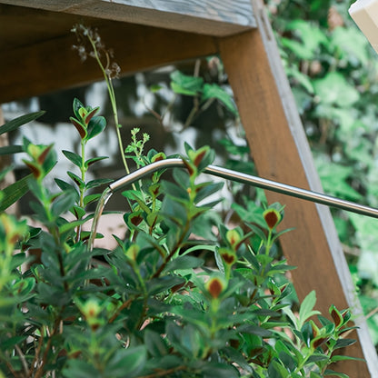 1,4l Vattenkanna i Plast - 24cm - 3 Olika Färger - CC Krukan